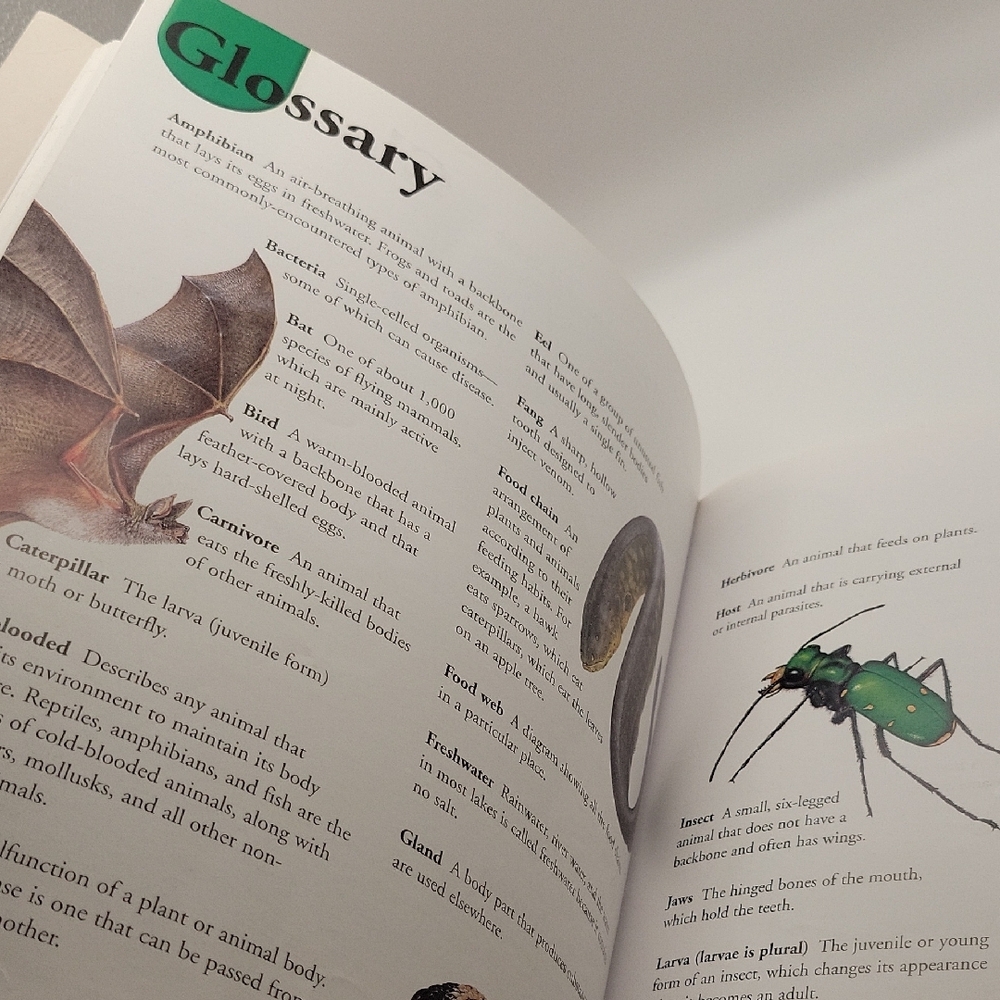 Deadly Creatures Dictionary - Picture 7 of 7
